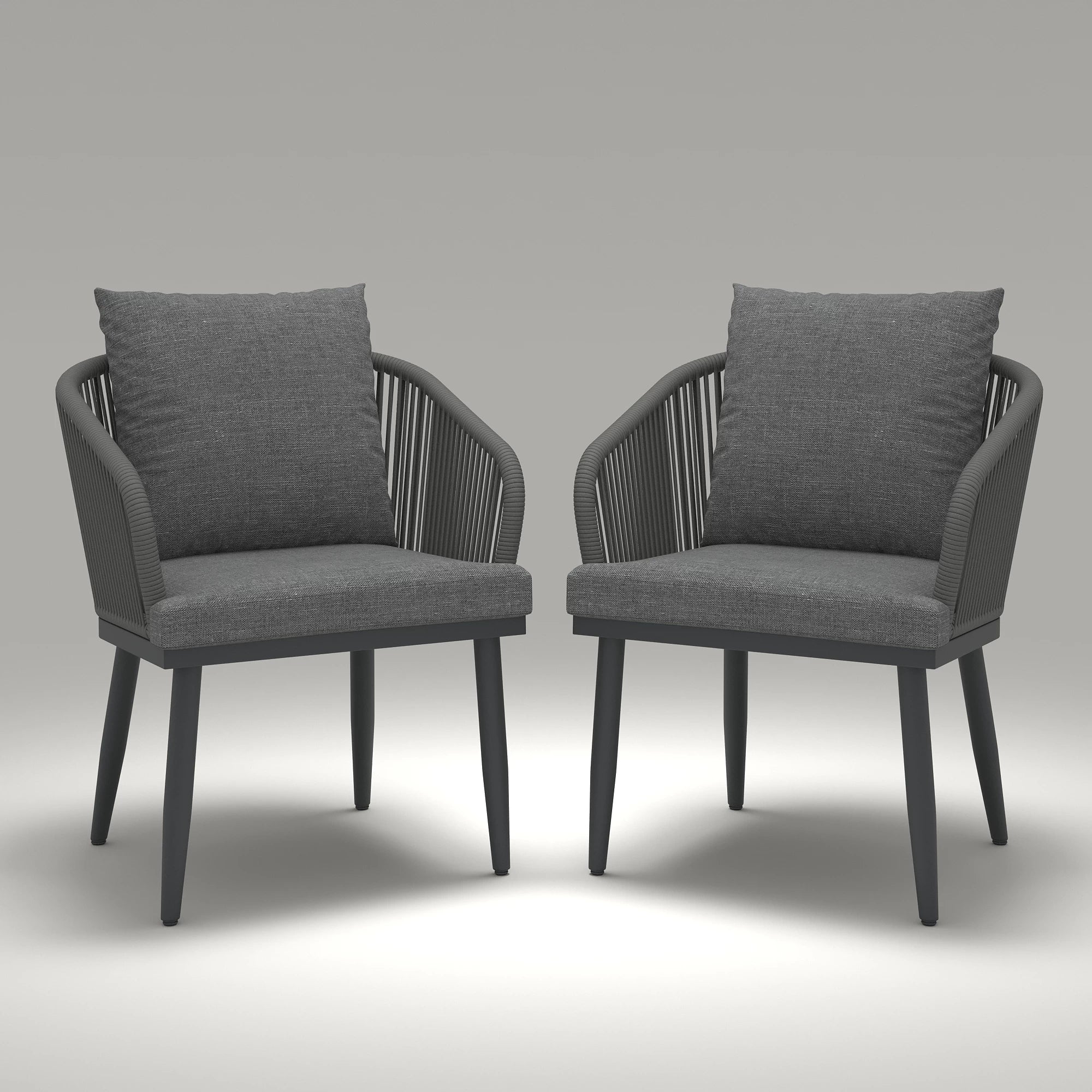 LayinSun 2-Piece Modern Outdoor Wicker Dining Chairs - Terradine Collection