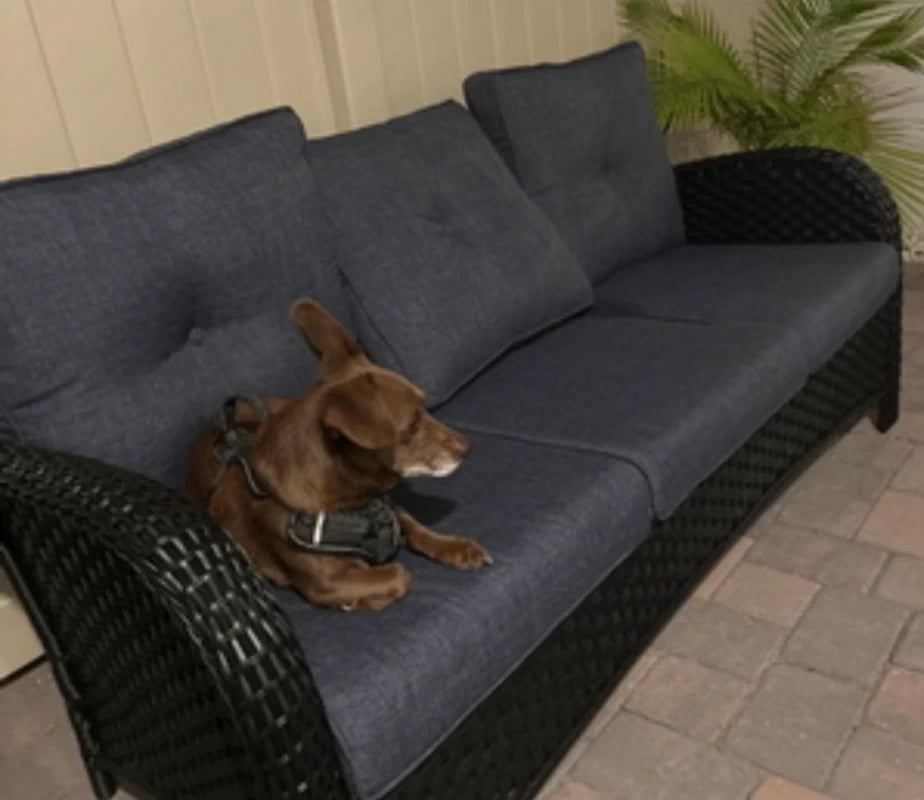 LayinSun 9 件套户外藤编旋转椅沙发休闲套装